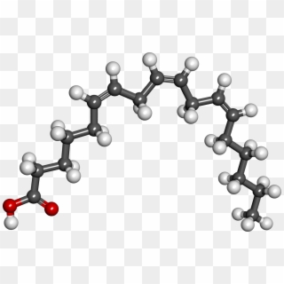 Gamma Linolenic Acid, HD Png Download