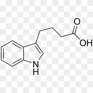 4 Indol 3 Ylbutyric Acid - Bis Hydroxy Ethylene Terephthalate, HD Png Download