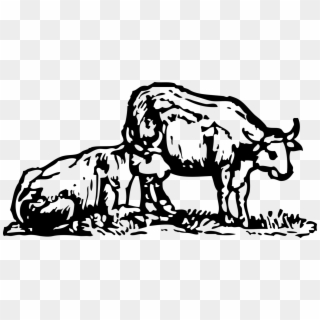 Ox Cattle Water Buffalo Farm Drawing - Oxen Png, Transparent Png