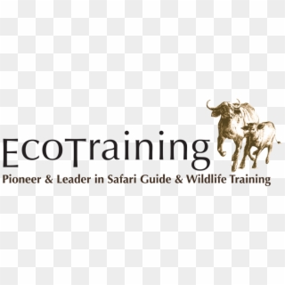 Ecotraining Logo Png - Pinsent Masons, Transparent Png