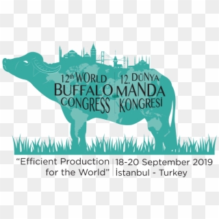 12th World Buffalo Congress, Istanbul, Turkey - Punxsutawney Phil, HD Png Download