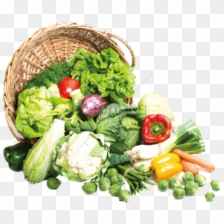 Free Png Vegetables Png Image With Transparent Background - Organic Vegetables Png, Png Download