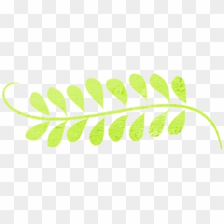 Leaf, Swirl, Vector, Green, Decoration, Border, Curly - Leaf Swirls Png, Transparent Png