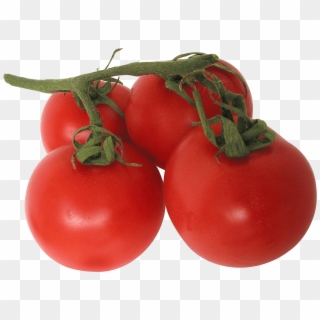 Tomato Png Image Png Image - Transparent Background Tomatoes Png, Png Download