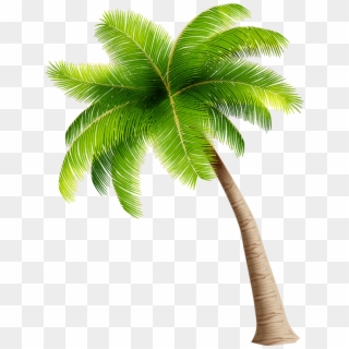 Make A Splash With The Family - Coconut Tree Clipart Png, Transparent Png