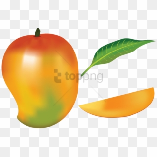 Free Png Drawing Of A Mango Fruit Png Image With Transparent - Drawing Of A Mango Fruit, Png Download