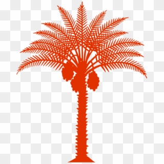Palm, HD Png Download