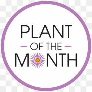 Plant Of The Month - Circle, HD Png Download