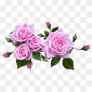 Rose, Flower, Arrangement, Plant - Flower Arrangement Roses Png, Transparent Png