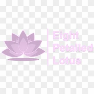 Sacred Lotus, HD Png Download