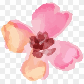 Free Png Download Cafepress Gilmore Girls - Flower Transparent Watercolour Png Pink, Png Download