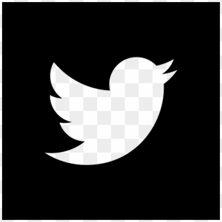 Twitter Square Logo Comments - Twitter Icon White Transparent, HD Png Download