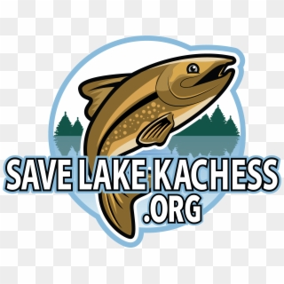 Save Lake Kachess Or - Pull Fish Out Of Water, HD Png Download