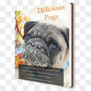 Project 100539 Cover 3d - Pug, HD Png Download