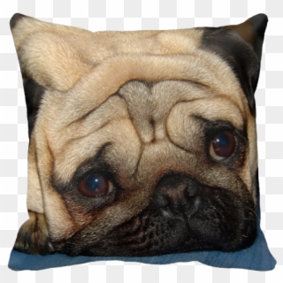 Europug Face Pillow - Posterize Pet, HD Png Download