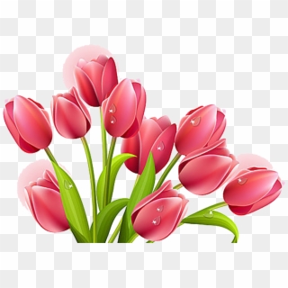 Clip Free Stock Tulip Flower Bouquet Clip Art Transprent - Tulip Clip Art Flowers, HD Png Download
