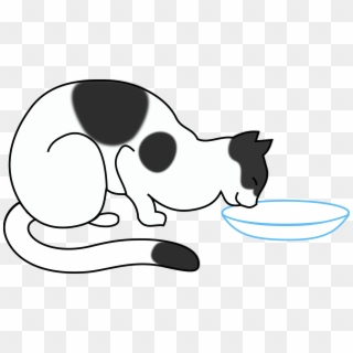 This Free Icons Png Design Of White Cat Drinking, Transparent Png