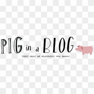 Pig In A Blog - Calligraphy, HD Png Download