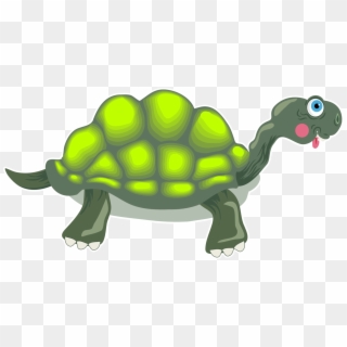Tortoiseimage, HD Png Download