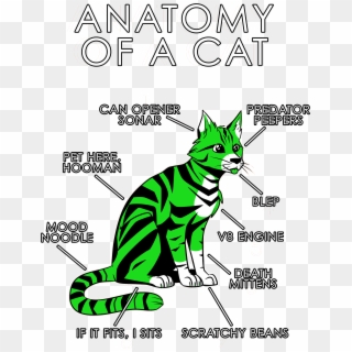 Anatomy Of A Furry, HD Png Download
