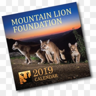 Photo Of 2019 Calendar Cover - Mountain Lion, HD Png Download