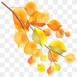 Download Autumn Branch Clipart Png Photo - Fall Branches Clip Art Png, Transparent Png