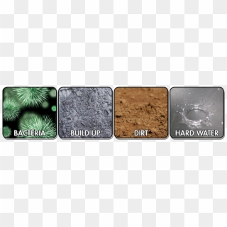 Bacteria-2 - Concrete, HD Png Download