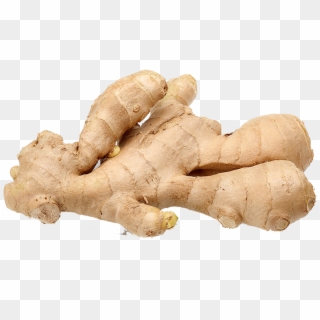 Ginger Size, HD Png Download