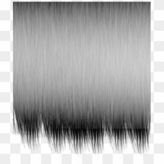 Hair Texture Png Png Transparent For Free Download Pngfind