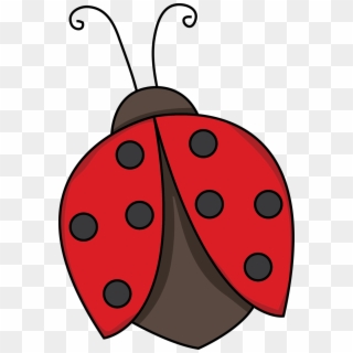 Red Ladybug Png Photo - Lady Bird Clipart Png, Transparent Png