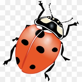 How To Set Use Ladybug Svg Vector, HD Png Download