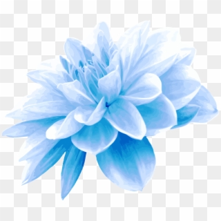 Aqua Blue Flower Png - Blue Flowers Png Transparent, Png Download