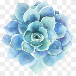 Tumblr Blue Flower Blueflower Png Library Stock - Succulent Watercolor, Transparent Png