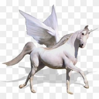 Unicorn Psd Horse Images - Flying Unicorn Png, Transparent Png