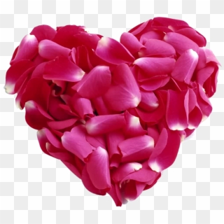 Pink Rose Petal Heart Png - Love, Transparent Png