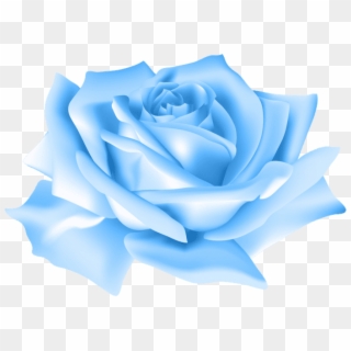 Free Png Download Blue Rose Flower Png Images Background - Pink Rose Png Transparent, Png Download