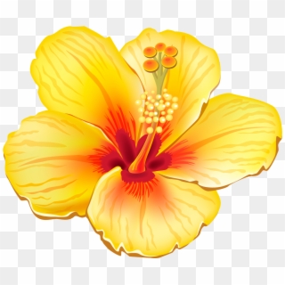 1322 X 1125 16 - Tropical Flower Clipart, HD Png Download