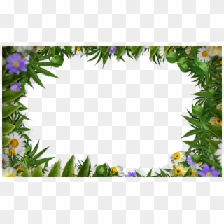 Flower Frame Border Png With Green Leaves Background - Flower Frame Background Transparent, Png Download