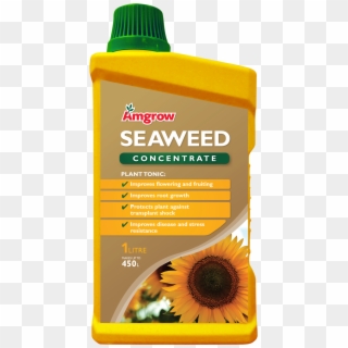 Seaweed Concentrate Ref - Sunflower, HD Png Download
