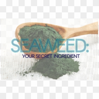 Seaweed - Thread, HD Png Download