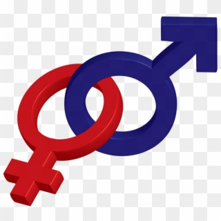 Male And Female Symbol Transparent - Gender And Development Sign, HD Png Download