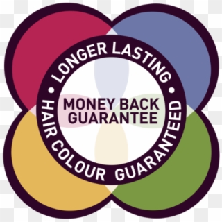 Money Back Guarantee Png - Circle, Transparent Png