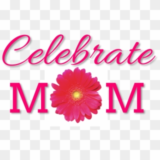 Happy Mothers Day 2016 Images - Mothers Day Sale Png, Transparent Png