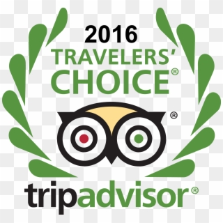 Tripadvisor Logo Transparent Wwwpixsharkcom Images - Tripadvisor Travelers Choice Award 2016, HD Png Download