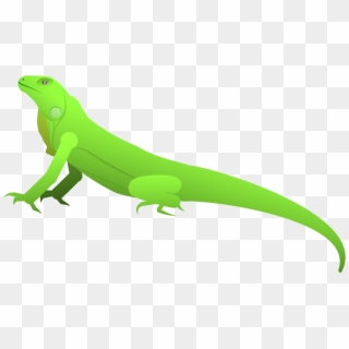Iguana - Carolina Anole, HD Png Download