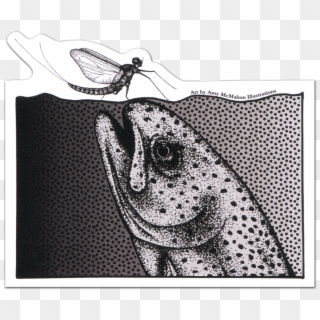 Trout, HD Png Download