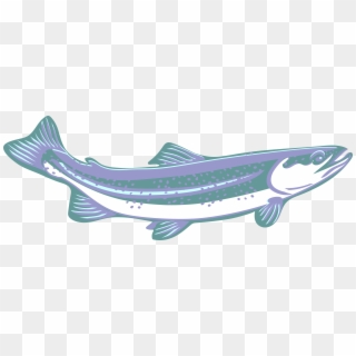 Trout, Clip Art, Purple, Blue, White, Speckled, Curved - Canoe, HD Png Download