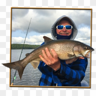 Crystal Lake Is Absolutely Stuffed With Lake Trout - Jigging, HD Png Download