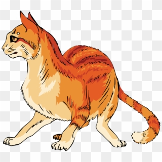 Free Clipart Of A Scared Orange Cat - Cat Clipart Orange Cat Png, Transparent Png