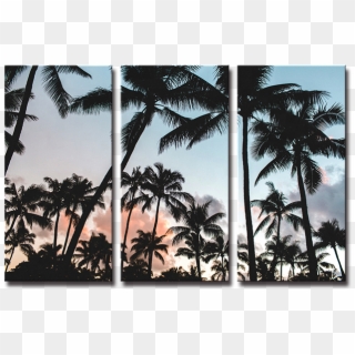 Seegart 3 Panels Beach Seascape Coconut Tree Wall Painting - Palm Trees Background Hd, HD Png Download